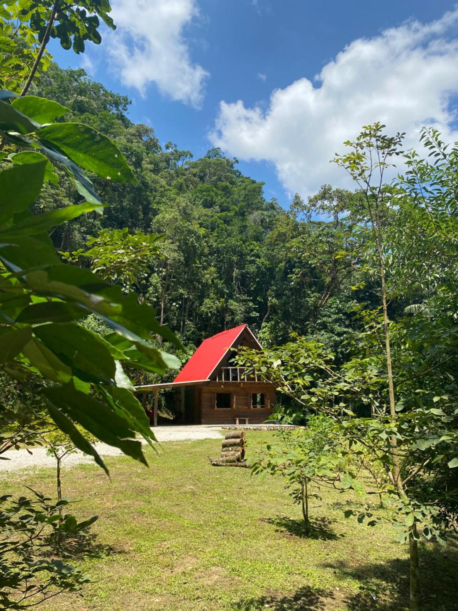 Chale Em Meio A Natureza! Guabiruba Exterior photo